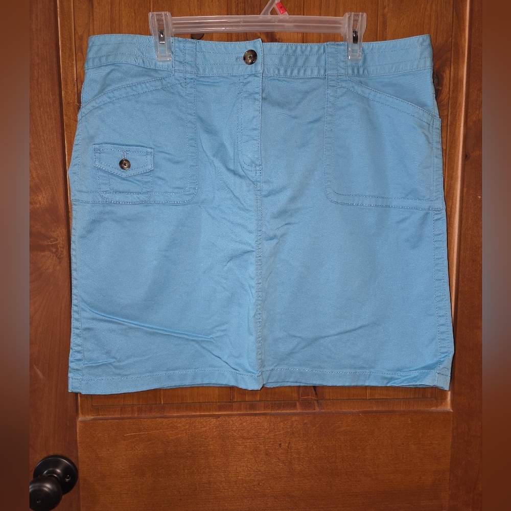 Ann Taylor Sky Blue Skirt